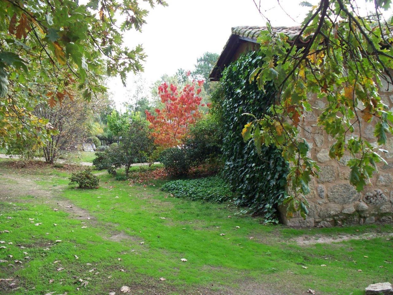 Apartamentos El Roble Valverde de la Vera المظهر الخارجي الصورة